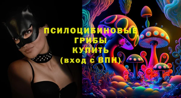 2c-b Балахна