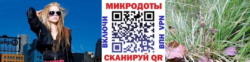 Галлюциногенные грибы мухоморы  Белёв 